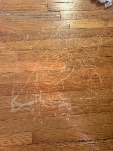 Hardwood floor with fine scratches