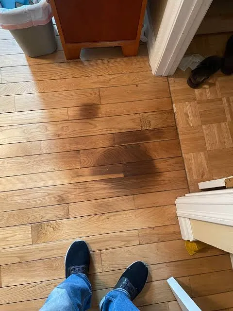 Dark pet stain on hardwood floor