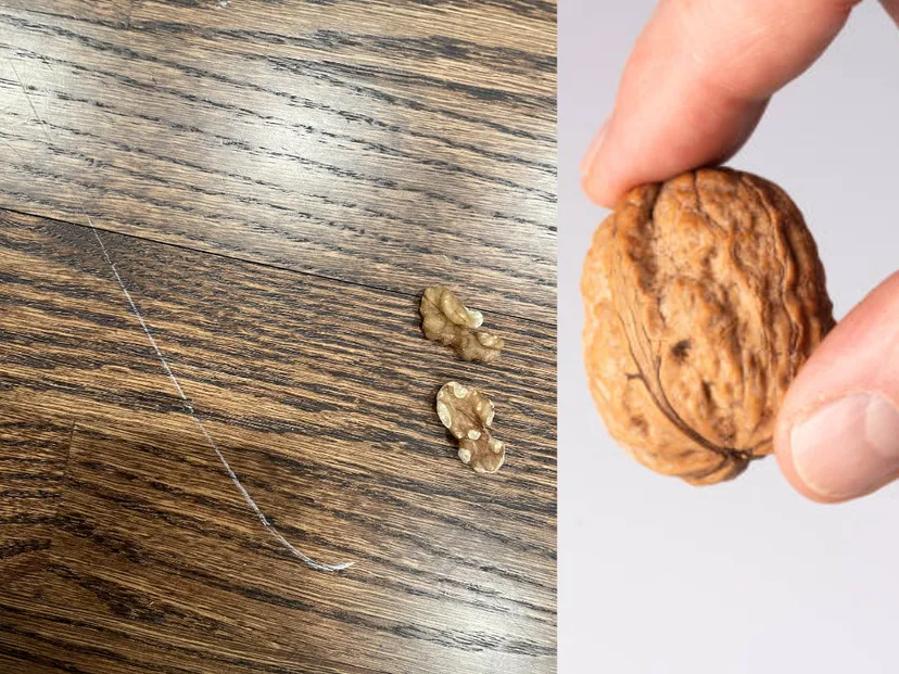 Walnut trick example for a hardwood floor scratch